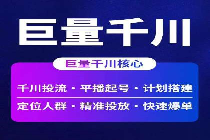 XX领域竞价广告的投放策略及效果展示